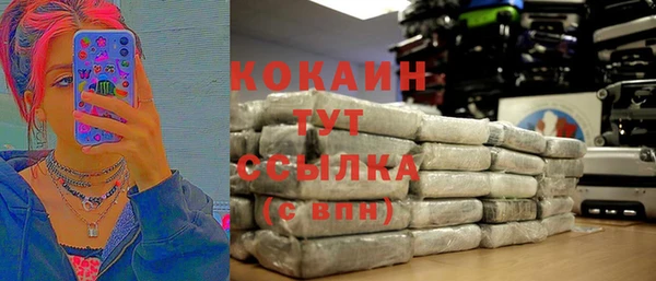 спайс Арсеньев