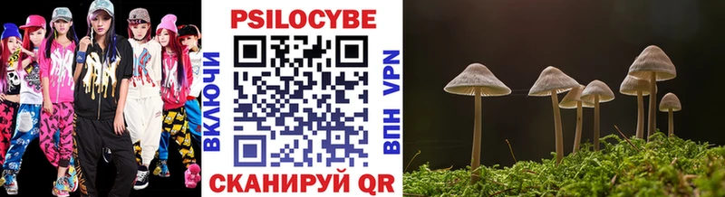 Купить  Вихоревка  Галлюциногенные грибы прущие грибы 